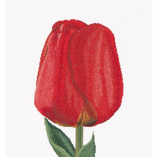 Набор для вышивания Thea Gouverneur Красный тюльпан, канва Aida, 34х36 см (ND. TG.521A)