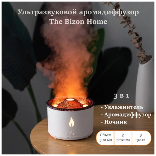 Увлажнитель воздуха The Bizon Home Аромадиффузор ультразвуковой распылитель эфирных масел портативный распылитель белый 205000₽