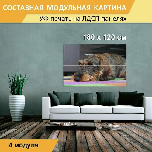 Модульная картина 