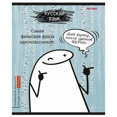 Тетрадь предметная Школьные мемасики Русский язык, 48 л, линия