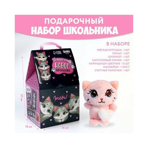 Подарочный набор школьника с мягкой игрушкой Кот 7 предметов Milo toys 889₽