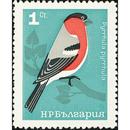 (1965-021) Марка Болгария Снегирь Певчие птицы II Θ