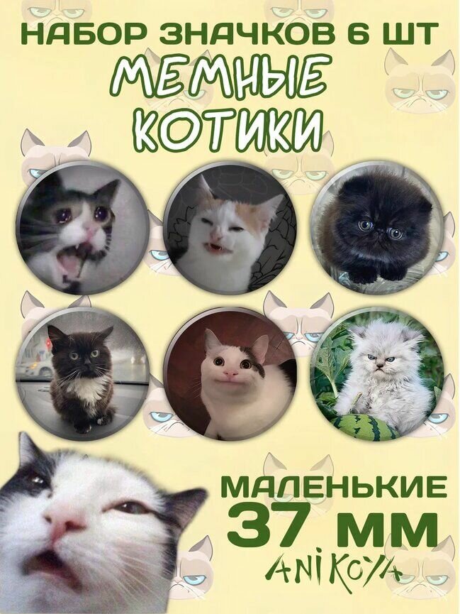 Значки Мемных котиков на рюкзак набор