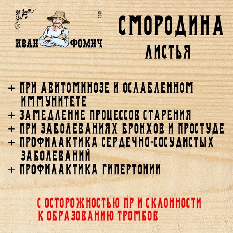 Смородина черная листья — фото 1