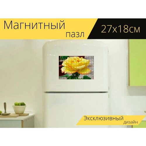 Магнитный пазл Желтая роза, роза, желтые лепестки на холодильник 27 x 18 см. магнитный пазл роза желтая роза лепестки на холодильник 27 x 18 см