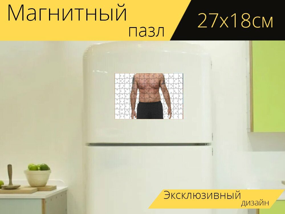 Магнитный пазл "Парень, торс, мускулистый" на холодильник 27 x 18 см.