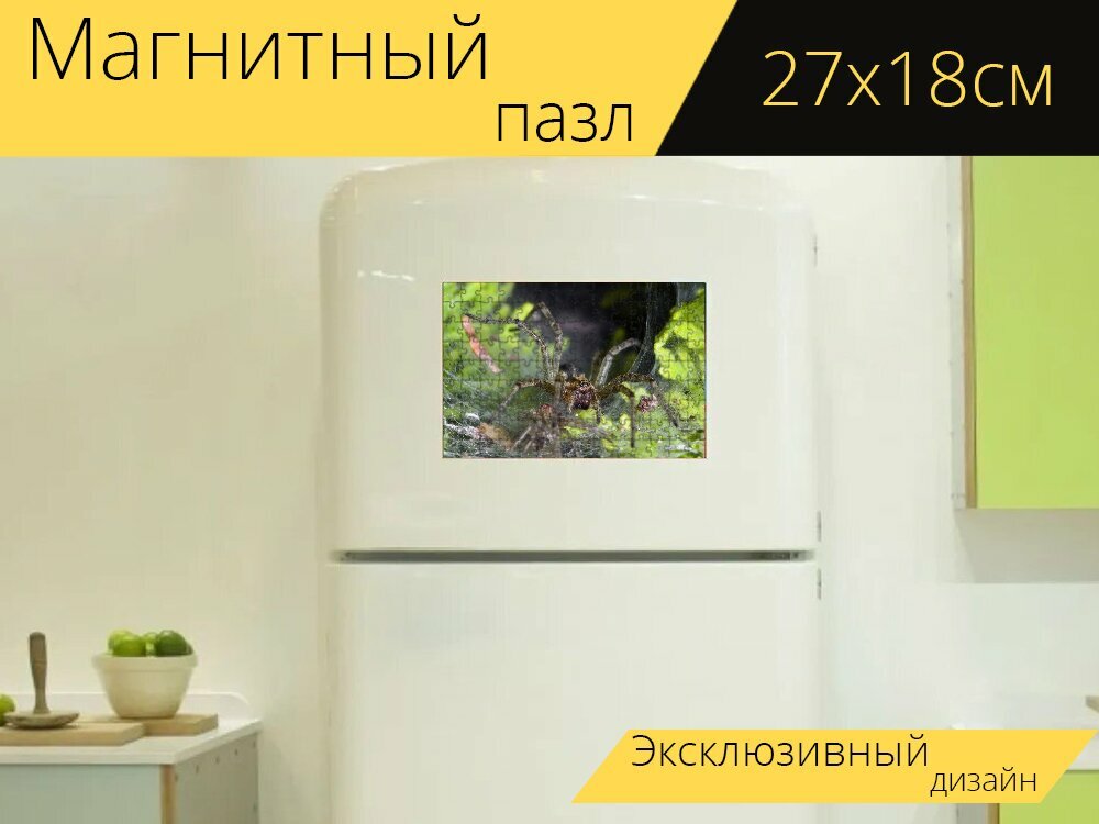 Магнитный пазл "Паук, agelena labyrinthica, паутина" на холодильник 27 x 18 см.