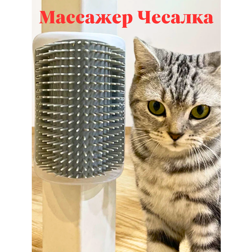 Расческа для кошек с кошачьей мятой чесалка угловая массажная