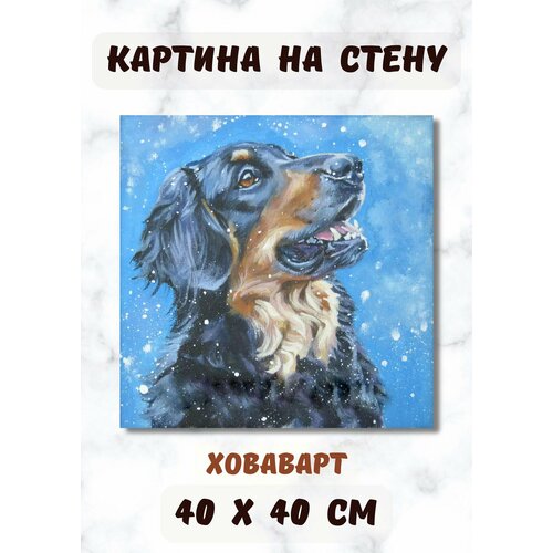 Картина на холсте в рисованном стиле печать 40х40 "Ховаварт" Bestkartina