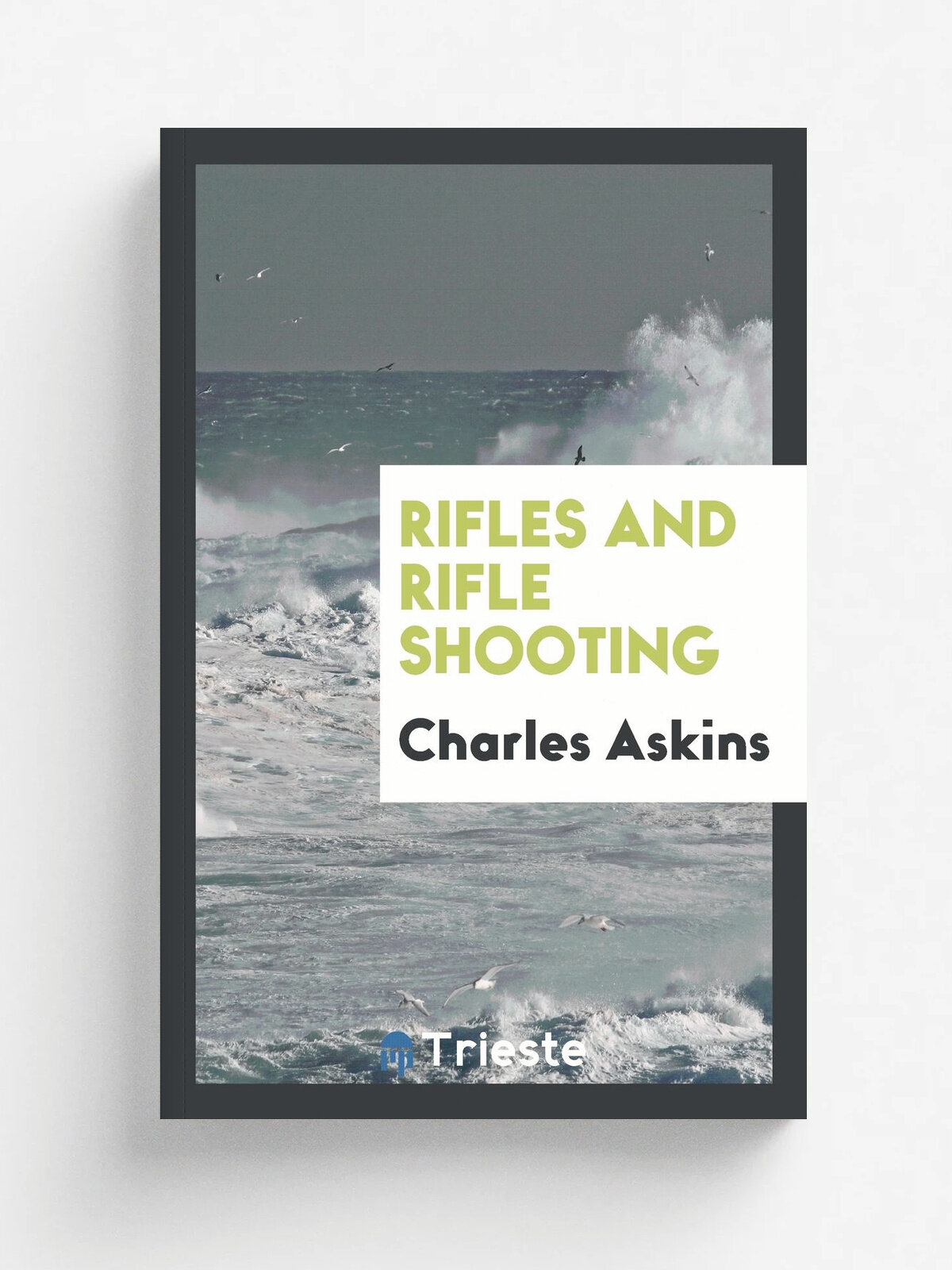 Rifles and Rifle Shooting