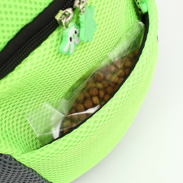 Рюкзак-переноска для животных, максимальный вес 10 кг, 30 х 16 х 34 см, зелёный Пижон 9545839 . - фотография № 9