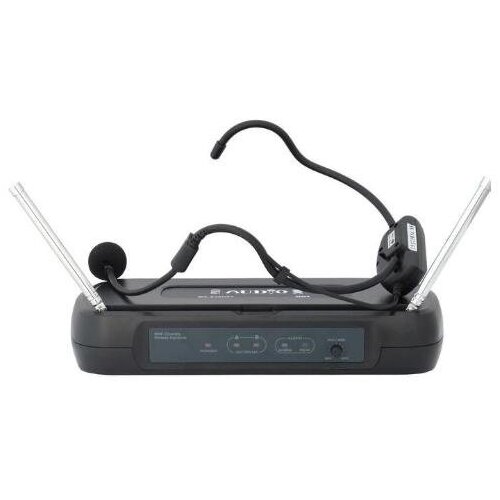 Радиосистема PASGAO PAW110WH12 2331400₽