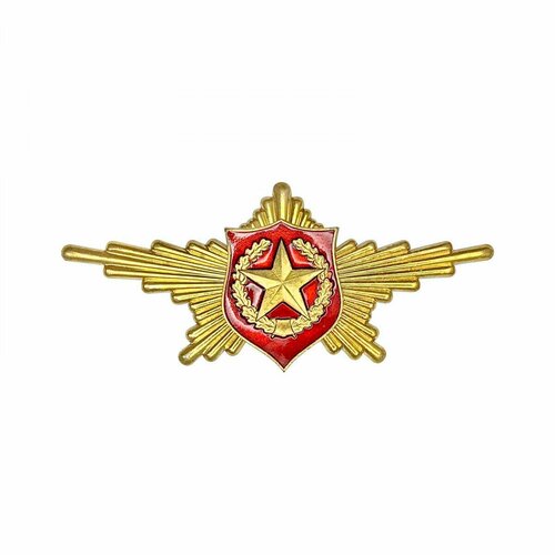 Знак нагрудный (жетон) МО Почетного караула со звездой, горячая эмаль