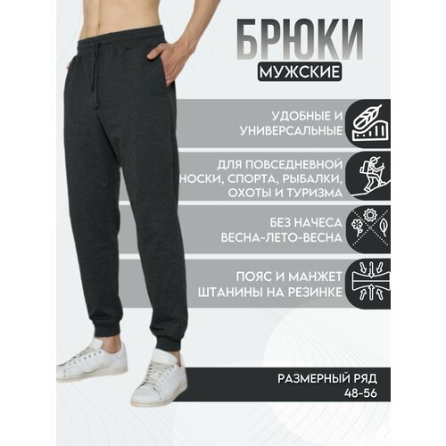 Брюки AL-XAKIM, спортивные, свободный силуэт, карманы, размер (56)3XL, серый