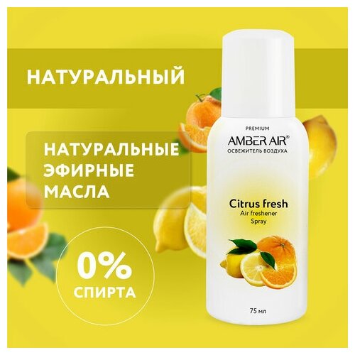 Сменный баллон аэрозольный 75 мл (аналог TORK, Система А1) AMBER AIR 