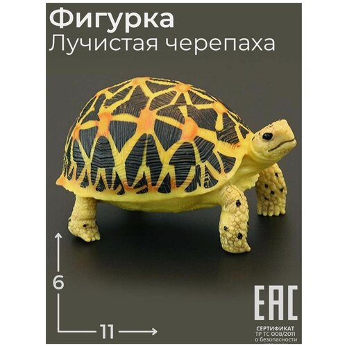 Игрушка Лучистая Черепаха фигурка статуэтка / Животные / Рептилии