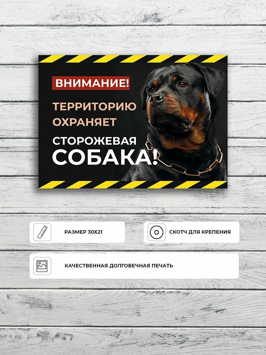 Табличка "Осторожно злая собака" ротвейлер А4 (30х21см)