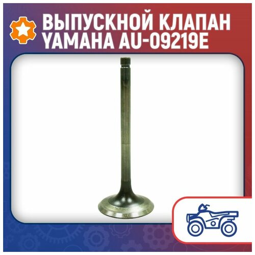 Выпускной клапан Yamaha AU-09219E