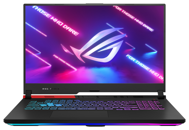 Ноутбук ASUS ROG Strix G17 G713IE-HX014 (90NR05B2-M00360)