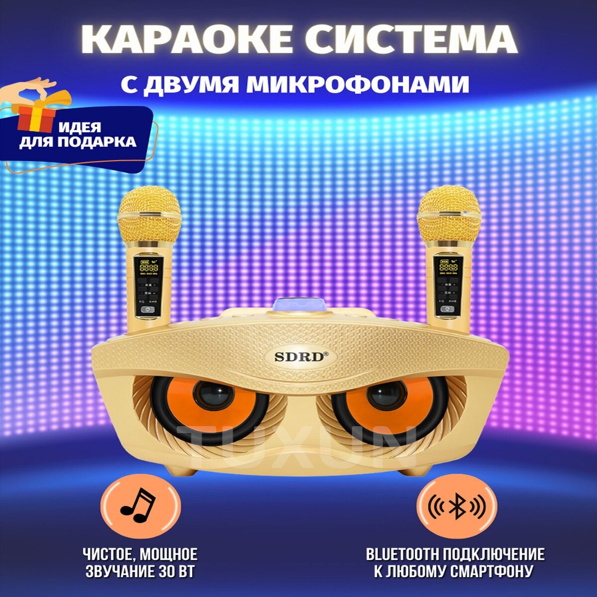 Система караоке SDRD SD 306 Plus