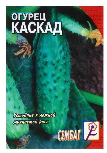 Семена Огурец "Каскад", 0,5 г