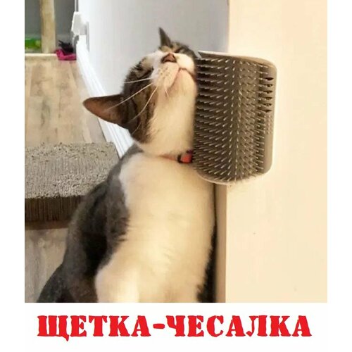 Щетка-чесалка для животных