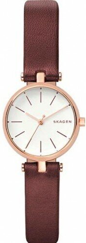 Наручные часы SKAGEN SKW2641