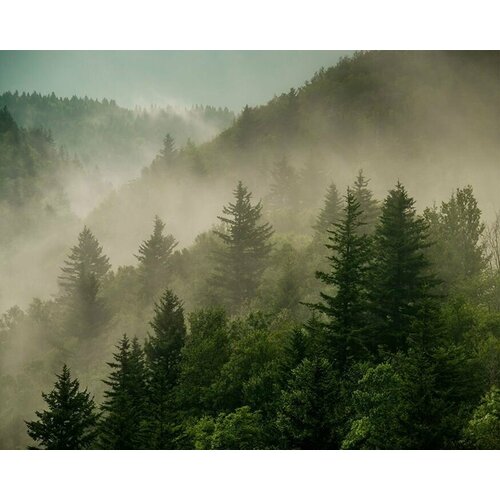 Моющиеся виниловые фотообои Туман над горами, 350х280 см