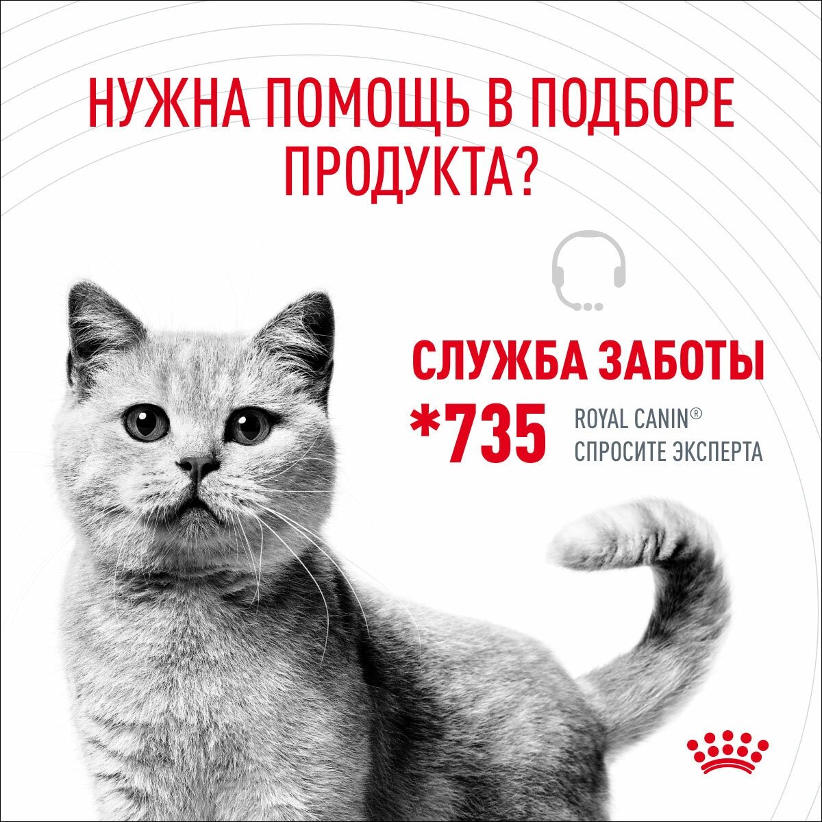 ROYAL CANIN Digest Sensitive Корм влаж.д/кошек с чувств.пищевар. 85г - фото №19