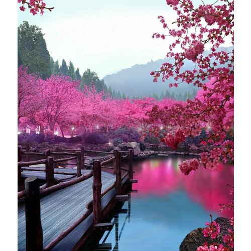 Моющиеся виниловые фотообои Цветущая сакура у воды. Япония, 250х290 см