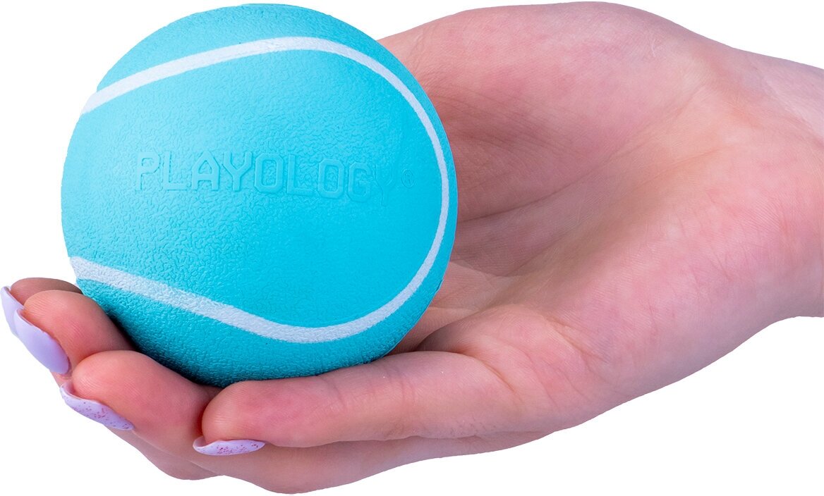 Playology хрустящий жевательный мяч SQUEAKY CHEW BALL 6 см с пищалкой и с ароматом арахиса, голубой