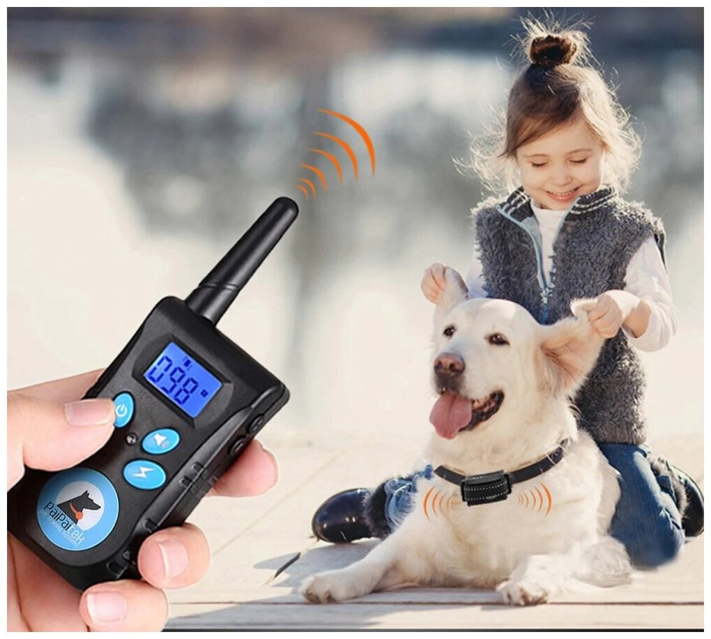 Электронный ошейник для дрессировки собак с функцией "Антилай" PD-520E (22-64см )