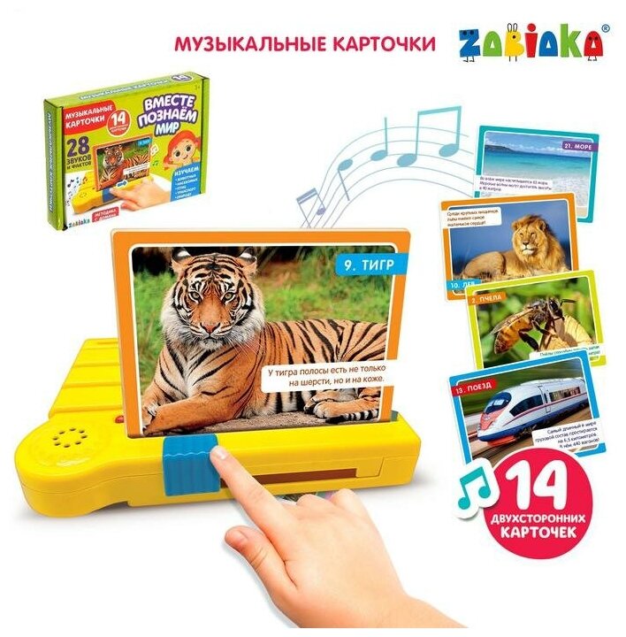 Музыкальные карточки ZABIAKA "Вместе познаем мир" 14 штук (4272936)