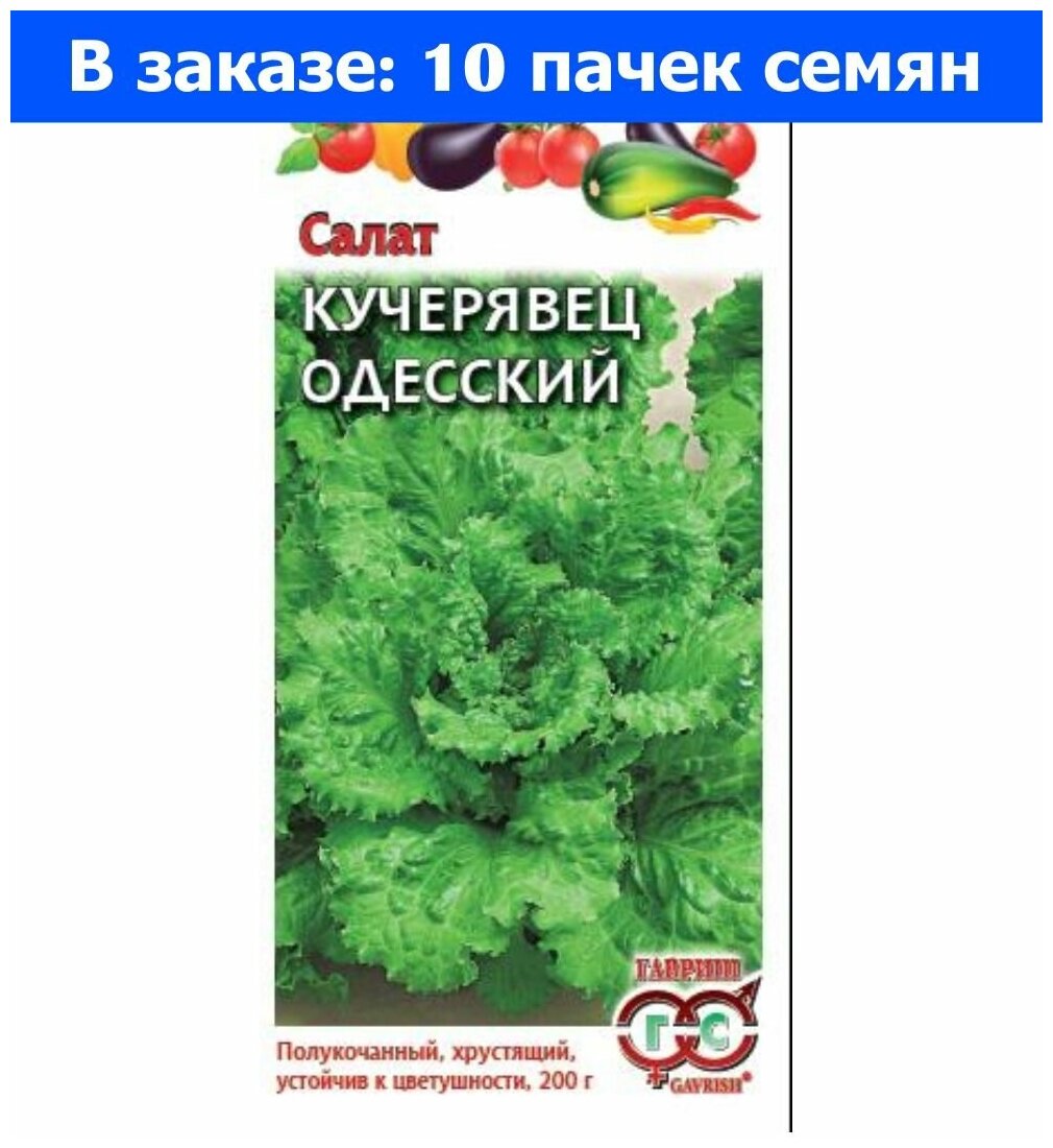 Салат Кучерявец одесский полукочанный 0,5г Ср (Гавриш) - 10 ед. товара