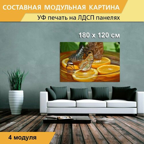 Модульная картина 