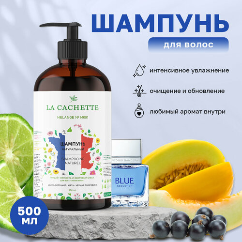 Шампунь для волос увлажняющий La Cachette M001 Blue Seduction, 500 мл, с дозатором шампунь для волос увлажняющий la cachette melange m001 blue seduction 250 мл с дозатором