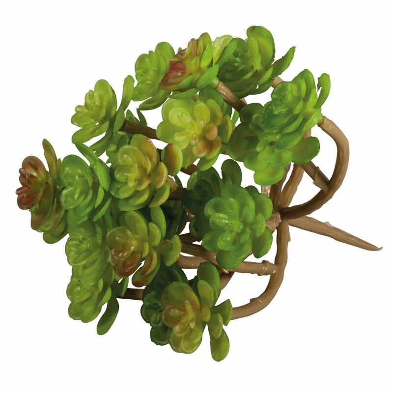 Декоративный цветок Rayher "Суккулент Седум", зеленый, пластик