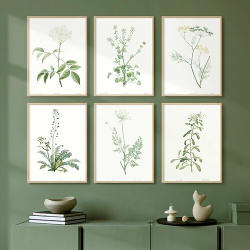 Постер 6 шт 40х50 без рамки 