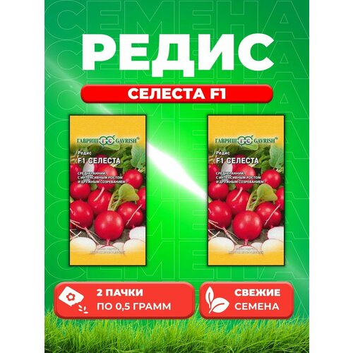 Редис Селеста F1 0,5 г (Голландия) (2уп)