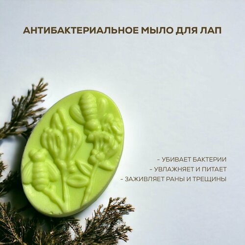 Антибактериальное мыло шампунь для мытья лап после прогулки