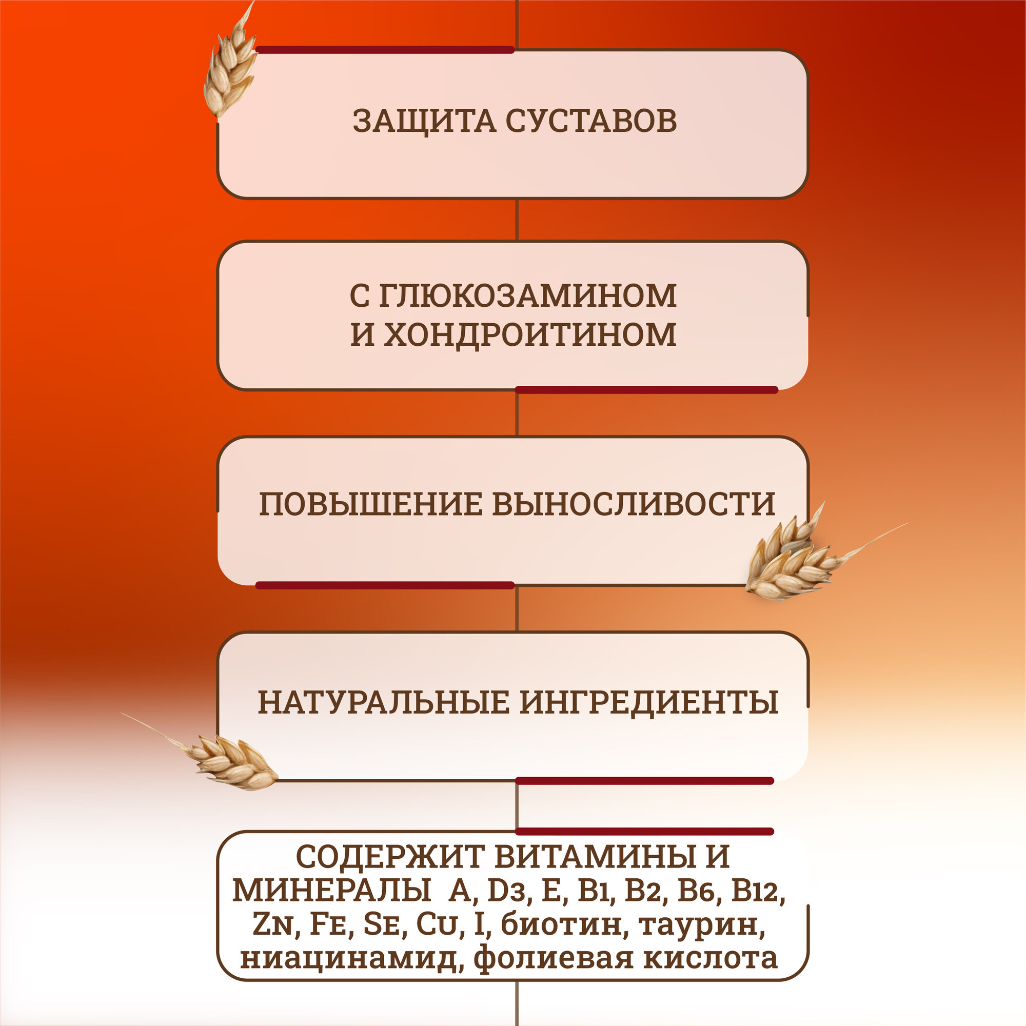 Сухой корм для стерилизованных кошек Alleva Holistic Cat Neutered с курицей и уткой - 1,5 кг — фото 1