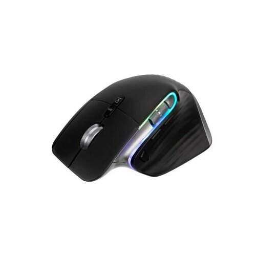 Беспроводная мышь CARRERA 201 370000₽