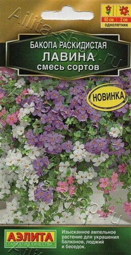 Изображение товара Бакопа Лавина. смесь окрасок