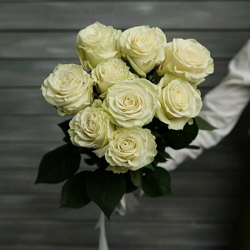 Изображение товара Монобукет Букет Маркет "Розы Эквадор", белые, 9 роз, 50см, под ленту