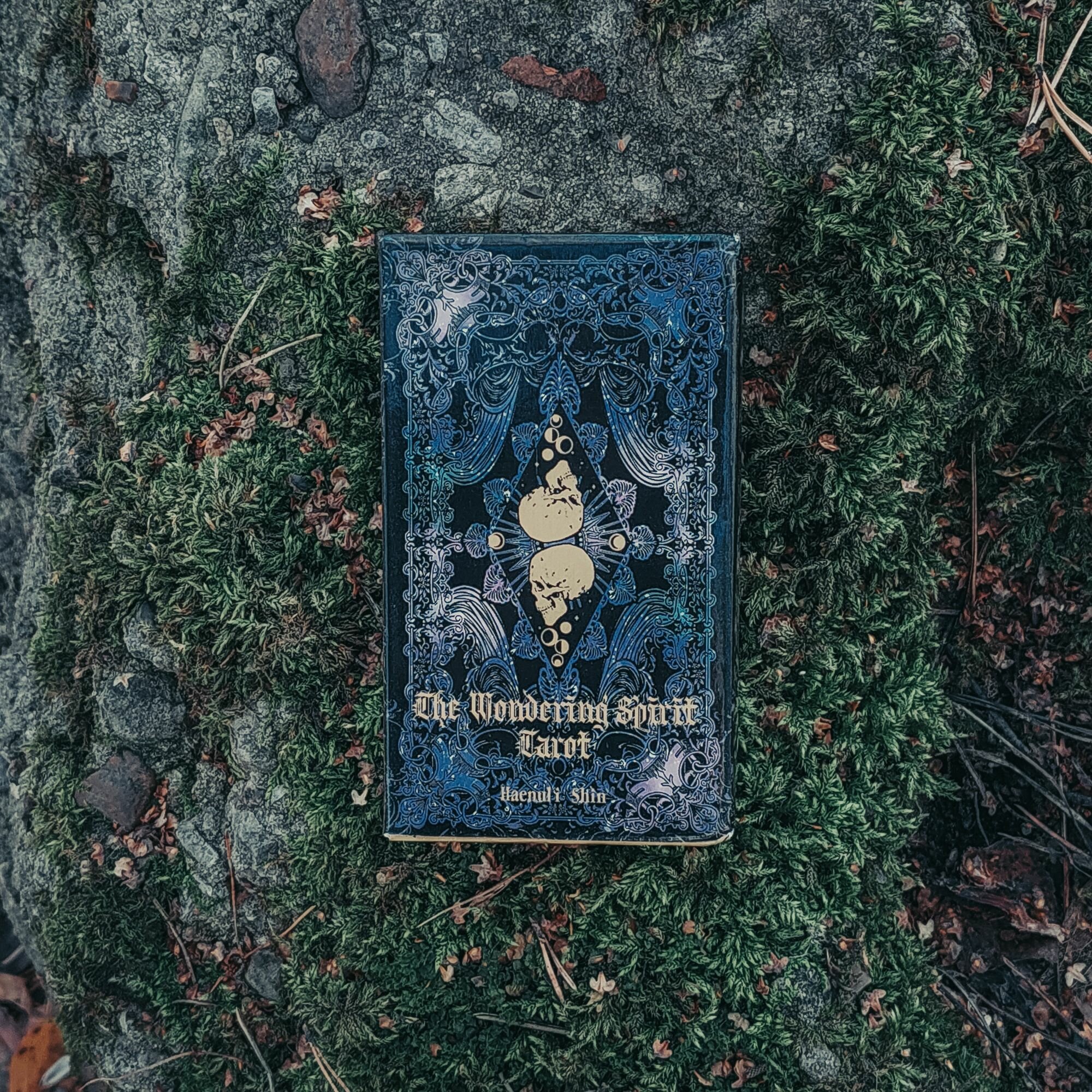 Таро Блуждающего Духа (The Wandering Spirit Tarot)