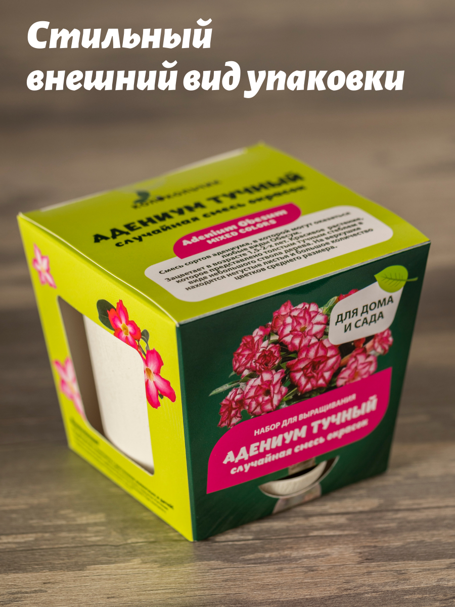 Набор для выращивания растений из семян Адениум Обесум МИКС — фото 1