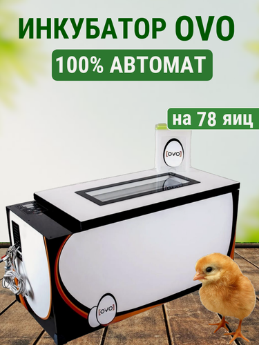 Изображение товара Инкубатор OVO до 78 яиц (100% автомат)