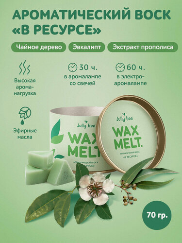 Изображение товара Jully bee Ароматический соевый воск "В ресурсе" для аромалампы, 70 гр.