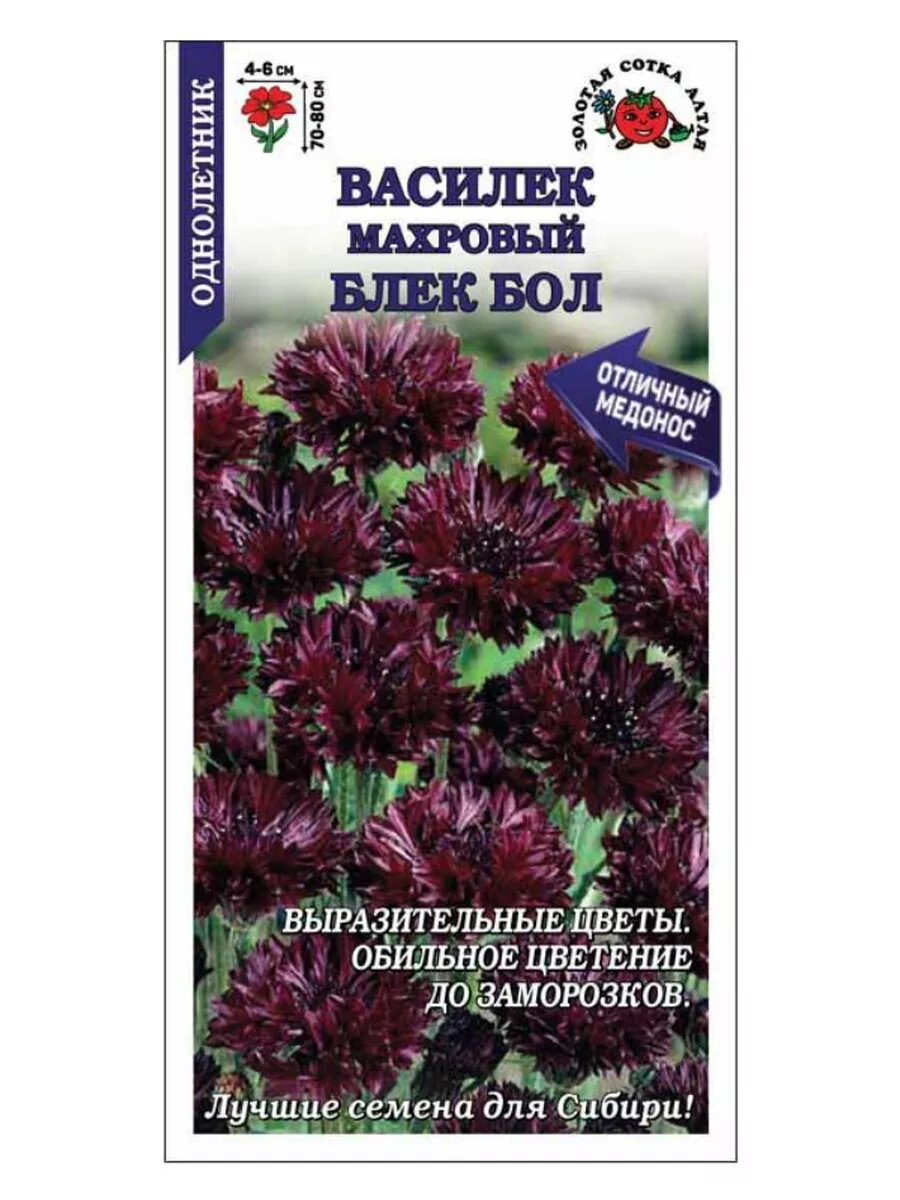 Василек Блек Болл махровый / 03г