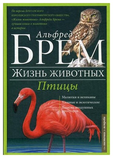 Птицы. Л-Я (Брэм Альфред Эдмунд, Брем Альфред Эдмунд) - фото №1